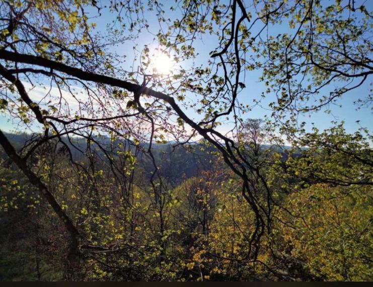 Zur Alten Zahnradbahn Lägenhet Sankt Andreasberg Exteriör bild